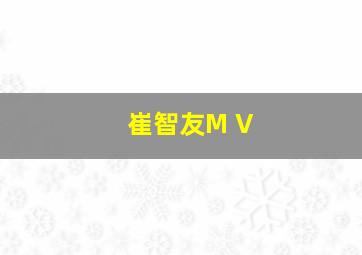 崔智友M V